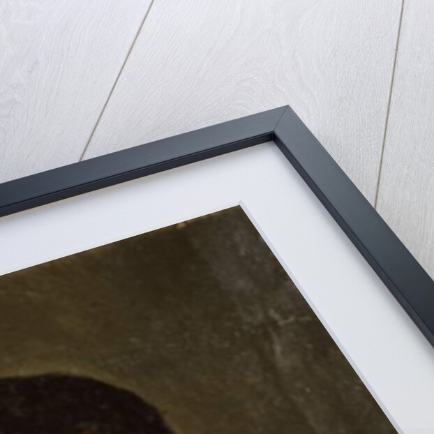 Portrait of a Seated Gentleman, c.1825 by French School