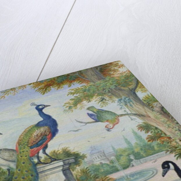 Exotic Birds and Domestic Fowl in a Picturesque Park, early 18th century by Jakob Bogdany