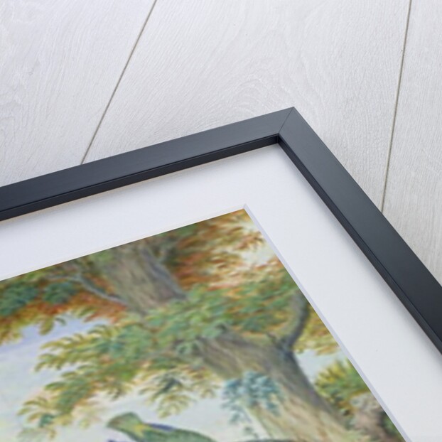 Exotic Birds and Domestic Fowl in a Picturesque Park, early 18th century by Jakob Bogdany