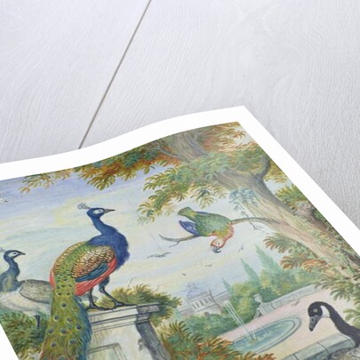 Exotic Birds and Domestic Fowl in a Picturesque Park, early 18th century by Jakob Bogdany