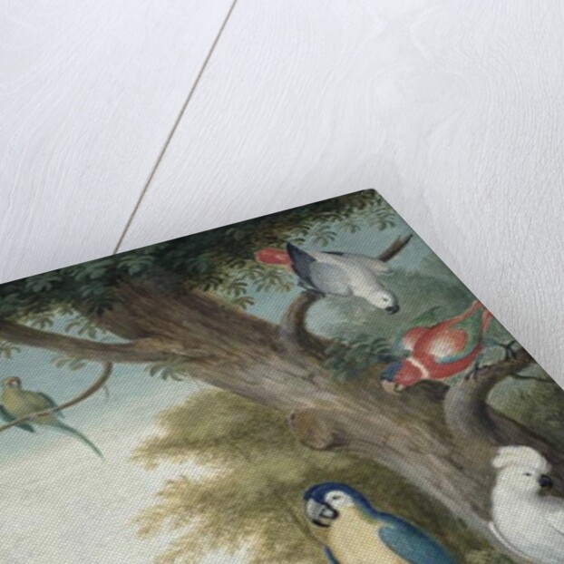 Parrots and a Lizard in a Picturesque Park, early 18th century by Jakob Bogdany