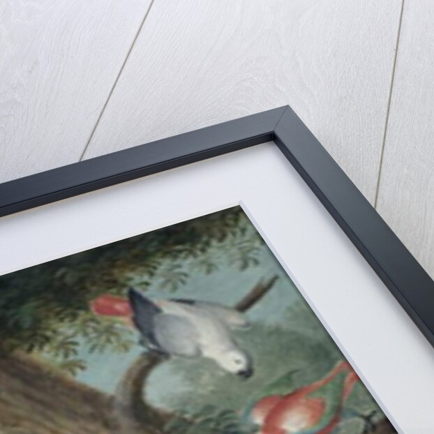 Parrots and a Lizard in a Picturesque Park, early 18th century by Jakob Bogdany