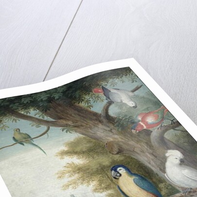 Parrots and a Lizard in a Picturesque Park, early 18th century by Jakob Bogdany