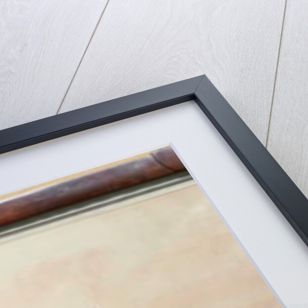 A panoramic view of the town of Coventry by Walker