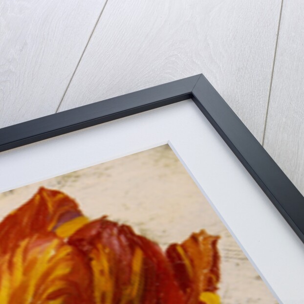 Studies of tulips, c.1830 by Dutch School