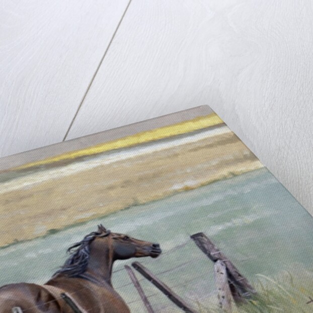 Dreams of Freedom, 2010 by Cruz Jurado Traverso