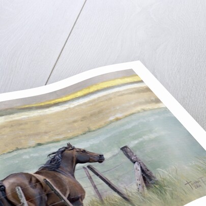 Dreams of Freedom, 2010 by Cruz Jurado Traverso