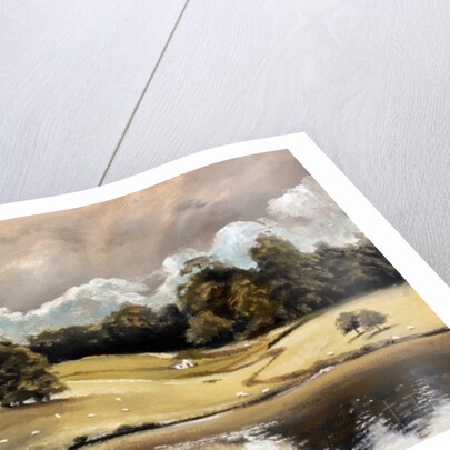 Joy of Light, near Leeds Castle, 2010 by Cruz Jurado Traverso