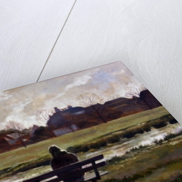 Wimbledon Pond, 2010 by Cruz Jurado Traverso