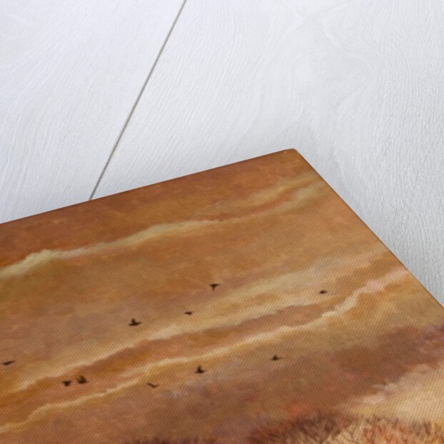 Sunset, Windsor, 2010 by Cruz Jurado Traverso