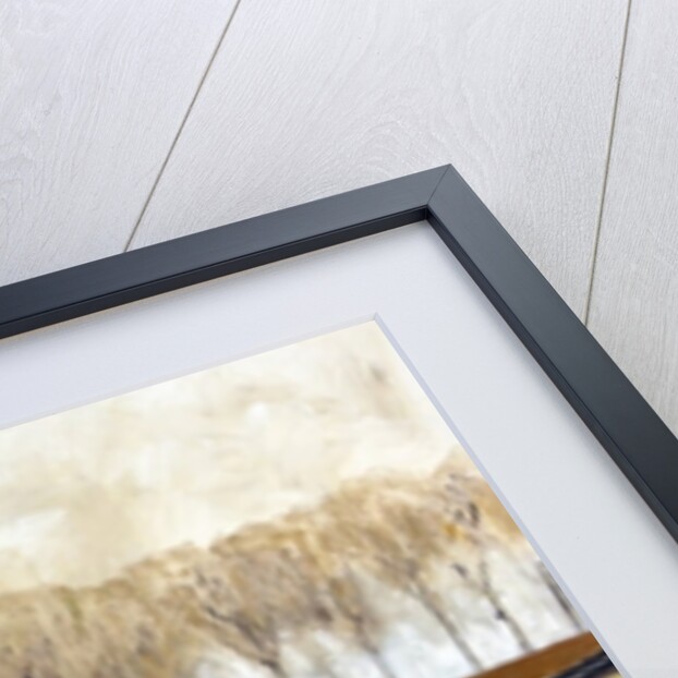 Spectators, Cotswolds, 2010 by Cruz Jurado Traverso