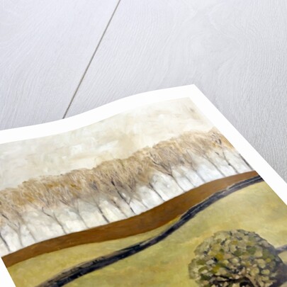 Spectators, Cotswolds, 2010 by Cruz Jurado Traverso