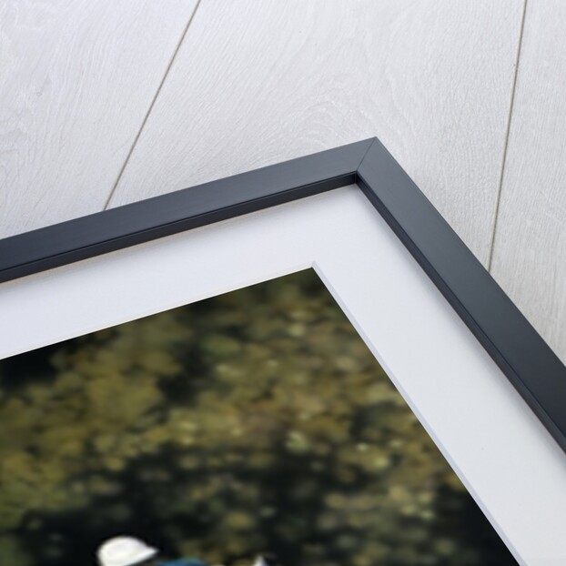 The Big Match, 2010 by Cruz Jurado Traverso