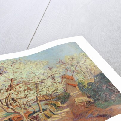 Plum Trees in Blossom by Jean Baptiste Armand Guillaumin