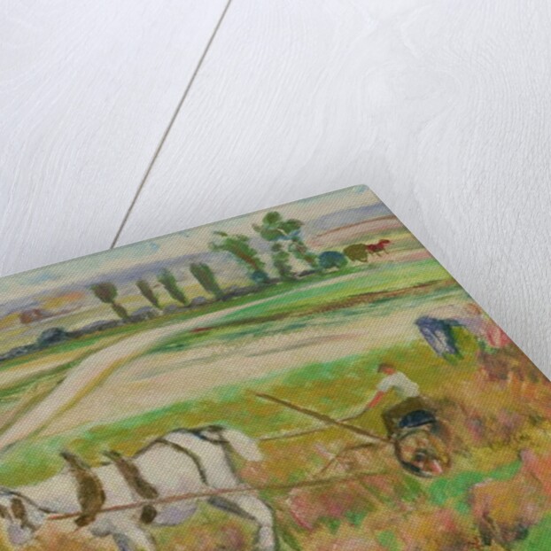 Harvesting with a White Horse by Roderic O'Conor
