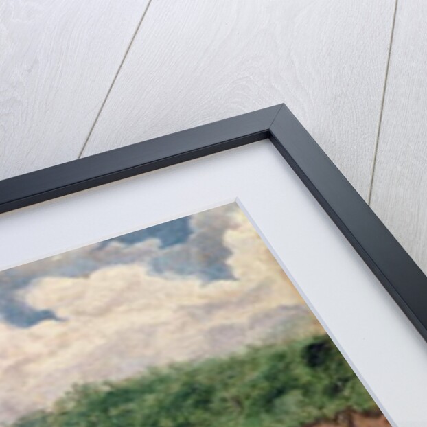 Oxford and Cambridge Boat Race, 1871 by J. Wilson