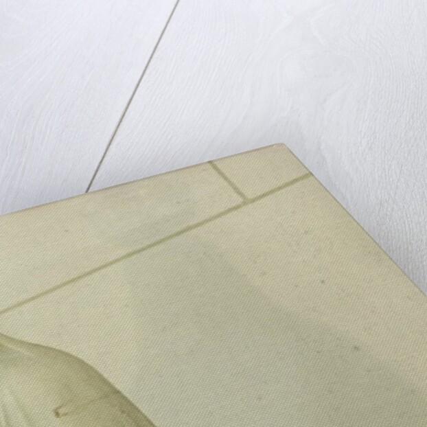 Virgin by French School