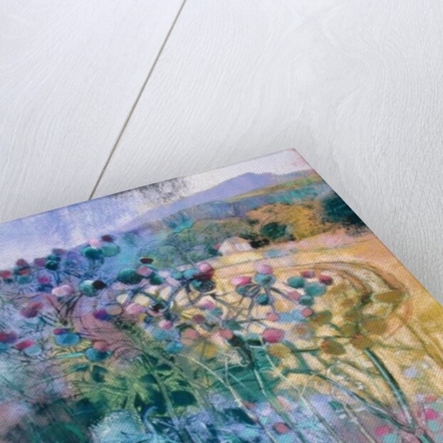 The Wild Beauty of Clee by Claire Spencer