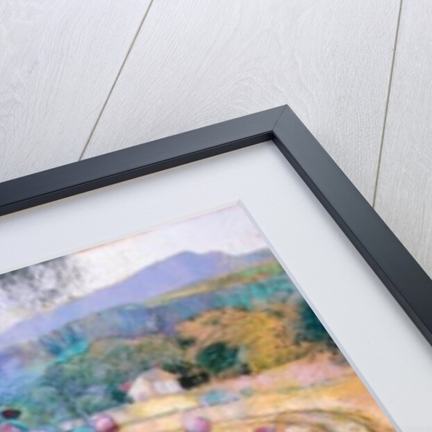 The Wild Beauty of Clee by Claire Spencer