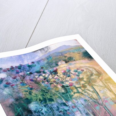 The Wild Beauty of Clee by Claire Spencer