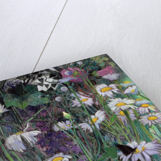 The White Garden by Claire Spencer