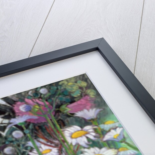 The White Garden by Claire Spencer