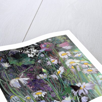 The White Garden by Claire Spencer