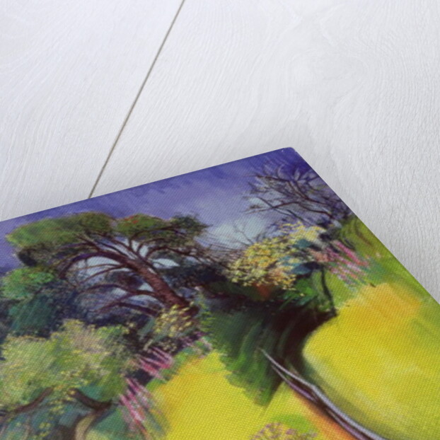 Midsummer by Claire Spencer