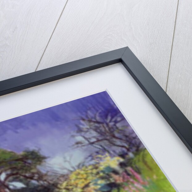 Midsummer by Claire Spencer