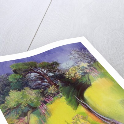 Midsummer by Claire Spencer