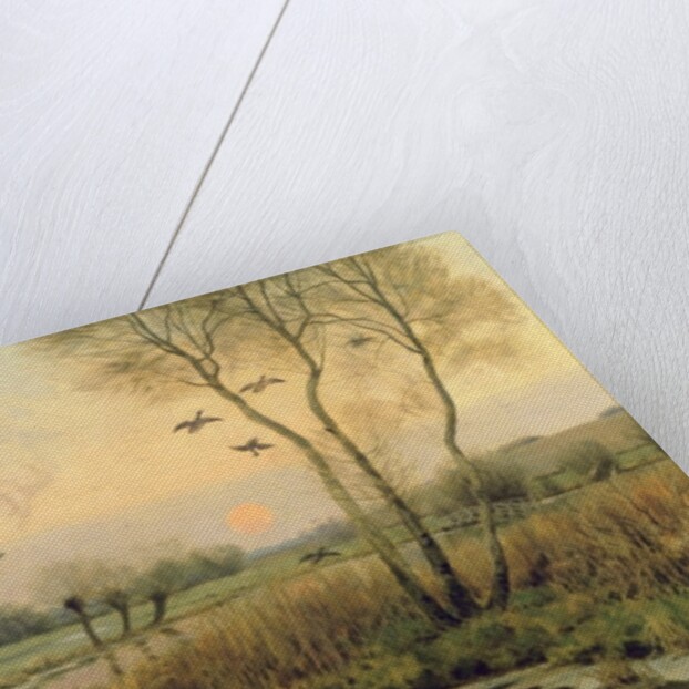 Duck Shooting by Christopher William Strange