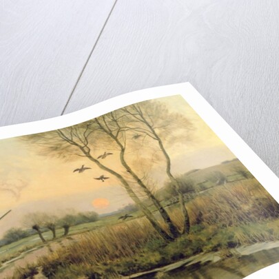 Duck Shooting by Christopher William Strange