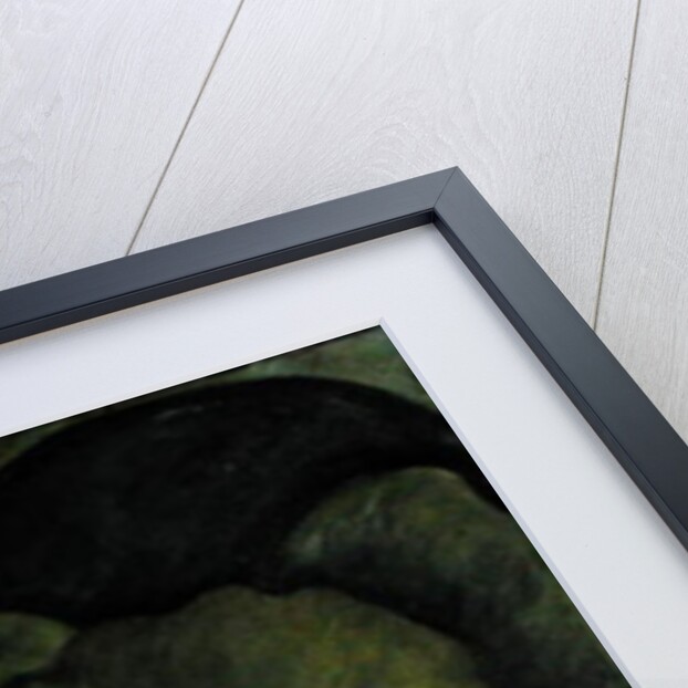 Punch and Judy by Celia Washington