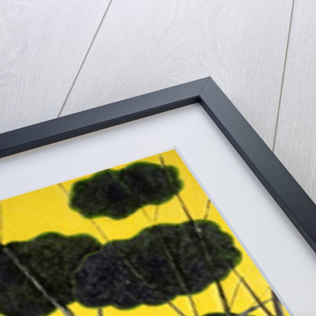 Forest Hoard by Celia Washington