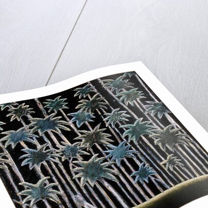 A Walk in the Country, 1989 by Celia Washington