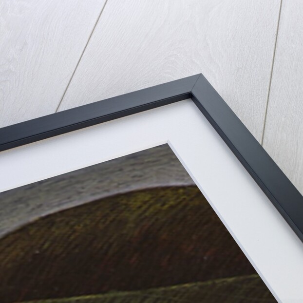 Round and Round, 1988 by Celia Washington