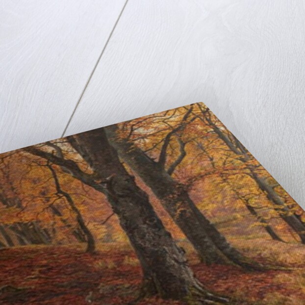 At the Fall of Leaf, Arundel Park, Sussex, 1883 by William Samuel Jay