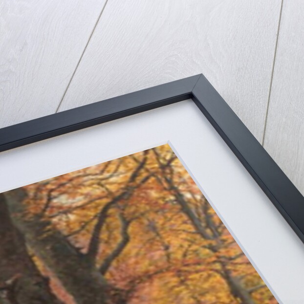 At the Fall of Leaf, Arundel Park, Sussex, 1883 by William Samuel Jay