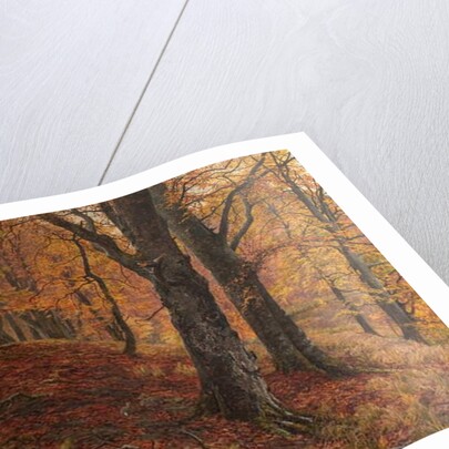 At the Fall of Leaf, Arundel Park, Sussex, 1883 by William Samuel Jay