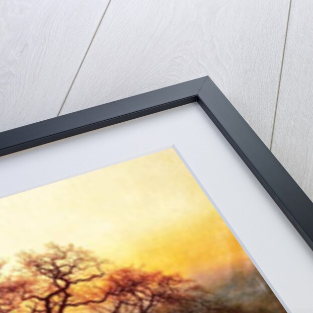Major Oak, Sherwood Forest, Nottinghamshire, 1882 by Andrew MacCallum