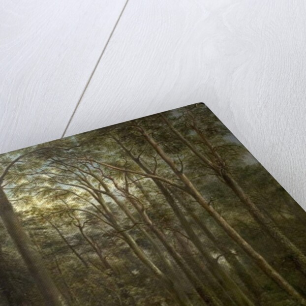 The Wilderness, 1857 by George Wallis