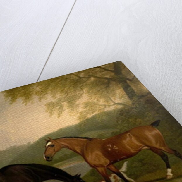 Horses and Dog in a Landscape, c.1830 by Clifton Tomson