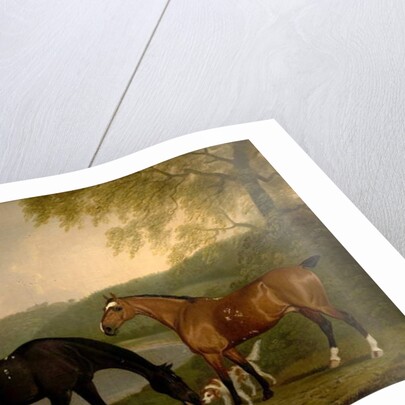 Horses and Dog in a Landscape, c.1830 by Clifton Tomson