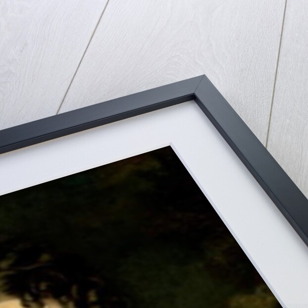 Miss Elizabeth Hoare, 1826 by Thomas Barber