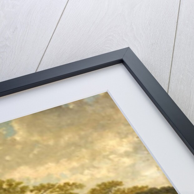 View in Sherwood Forest, Nottinghamshire by John Holland