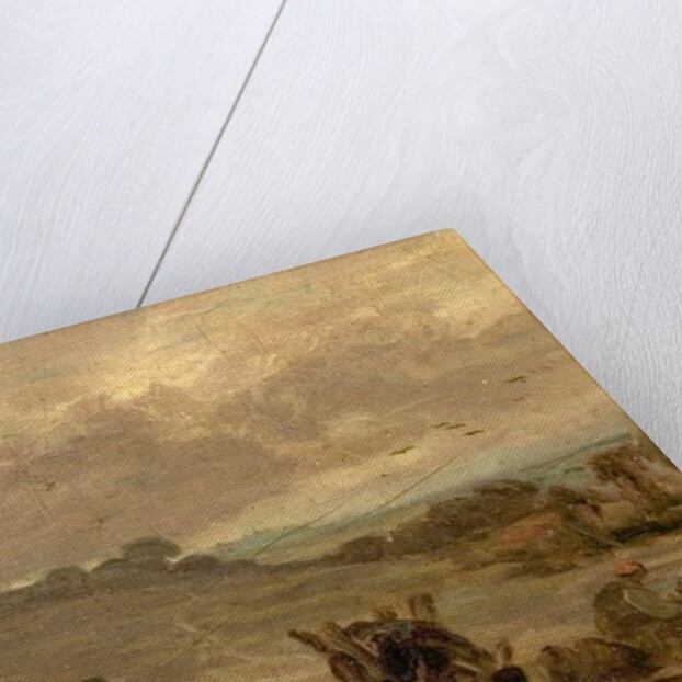 Taking out the Thorn by William Collins