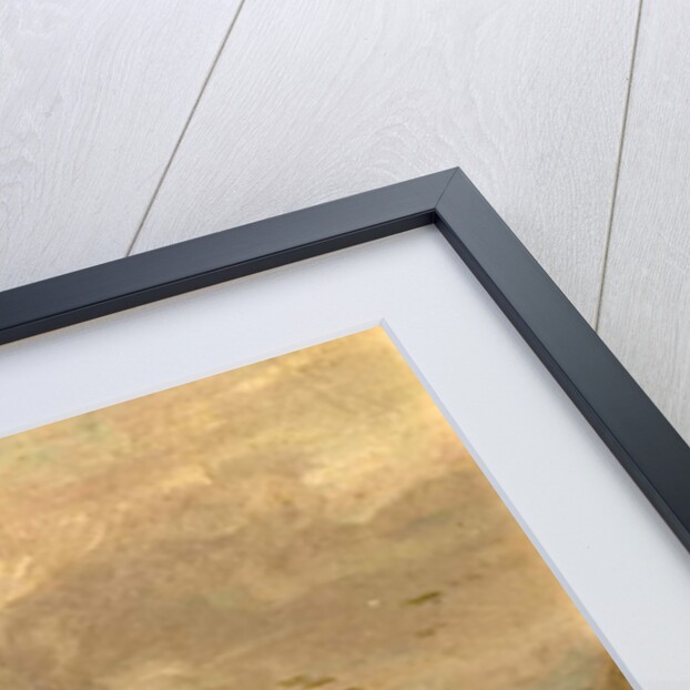 Taking out the Thorn by William Collins