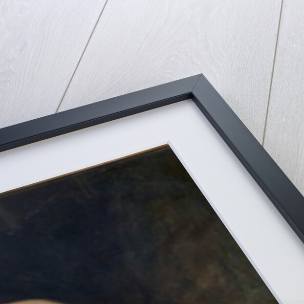 The Mourner, 1842 by William Etty