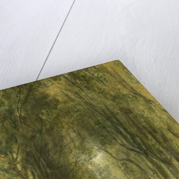 The Lime Walk at Weston, Buckinghamshire by William Harvey