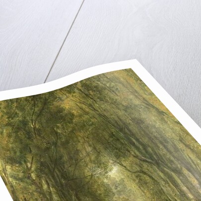 The Lime Walk at Weston, Buckinghamshire by William Harvey